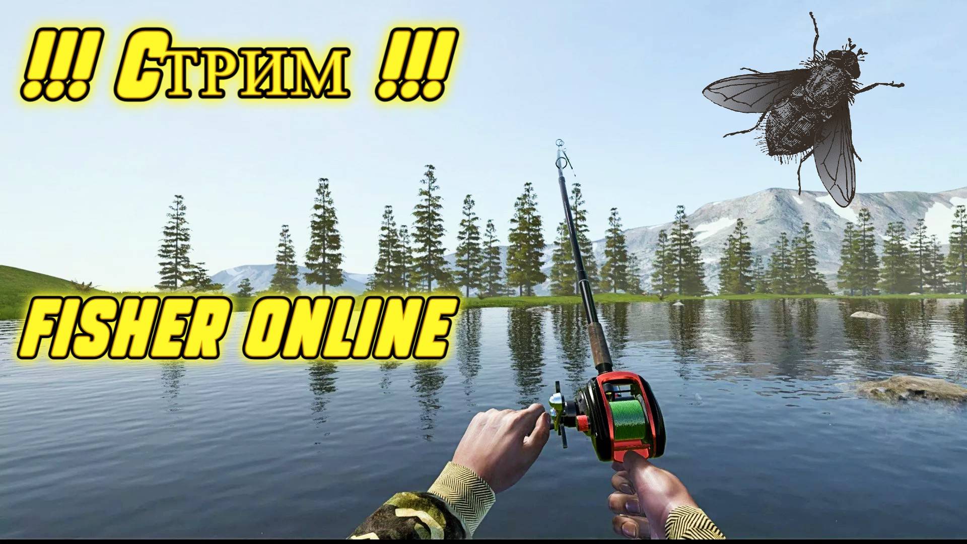 Fisher online - Стрим Ловим Окуней смотреть онлайн