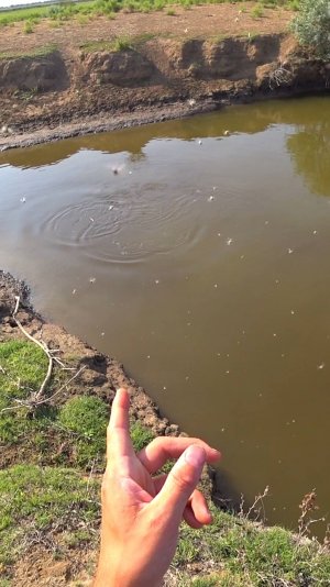 У ВАС ТАК ЖЕ? ОБИДНАЯ ЖЕСТЬ #астраханскийклев