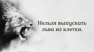 Нельзя выпускать льва из клетки