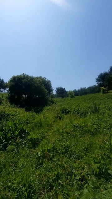 Родник Самарской луки