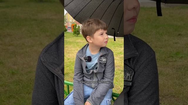 Почему люди грешат / Мама, мне батюшка так сказал