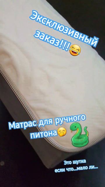 Такого вы ещё не видели! Матрас -питон! Эксклюзив! #diy #diycrafts #дизайн #животные #приколы смотреть онлайн