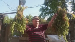 ДНЯ НЕ ХВАТАЕТ, А ХОЧЕТСЯ ВСЁ УСПЕТЬ, КАНАЛ О ПОВСЕДНЕВНОЙ ЖИЗНИ