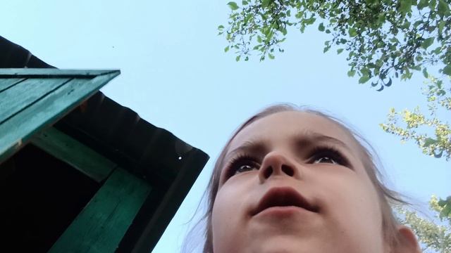 1000040009.mp4 смотреть онлайн