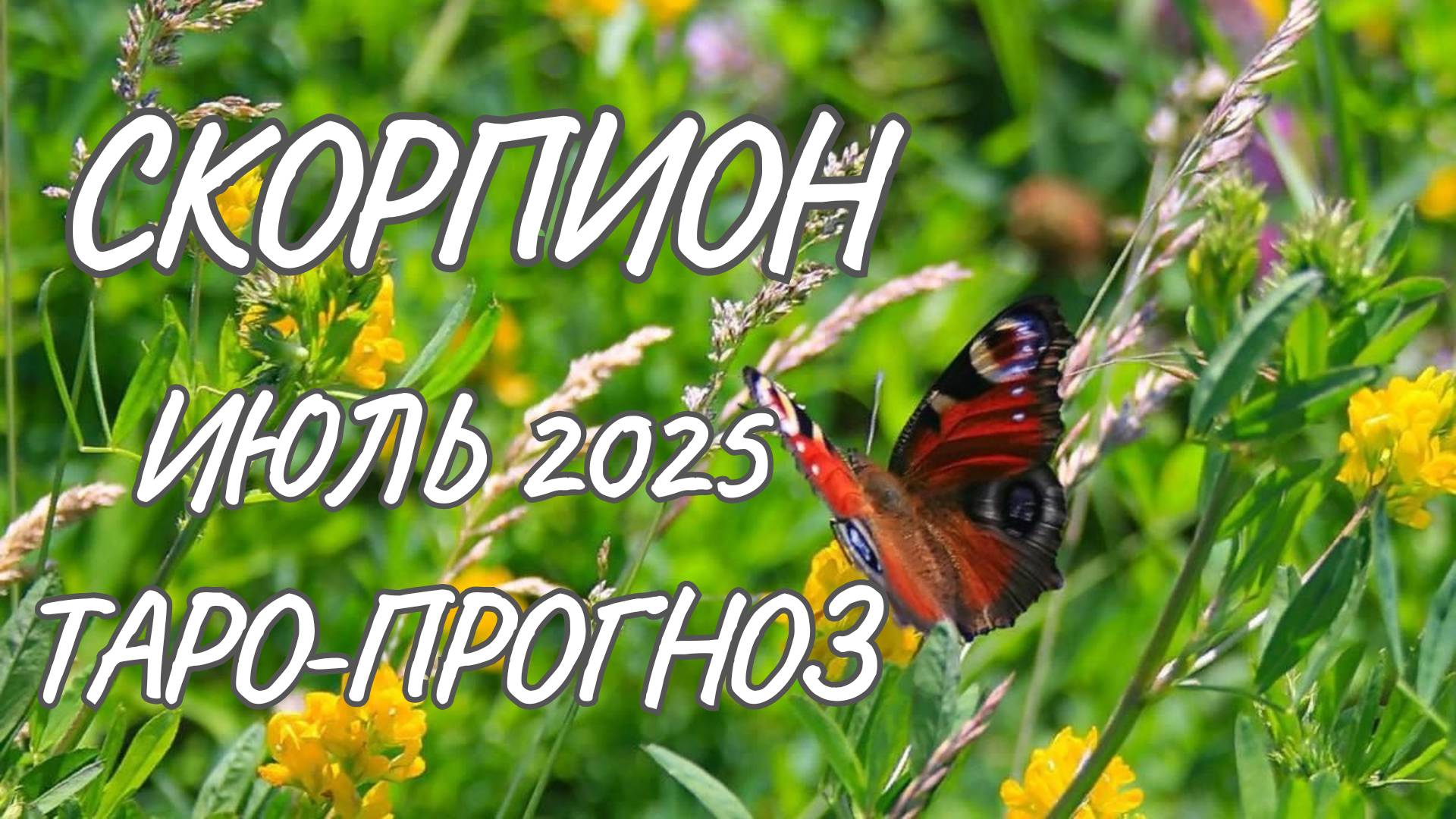 Скорпион ♏ Таро прогноз на июль 2025 года смотреть онлайн