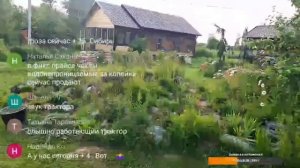 Запись стрима с ютуба от 23 июня. Кормим черепаху, ловим рыбов