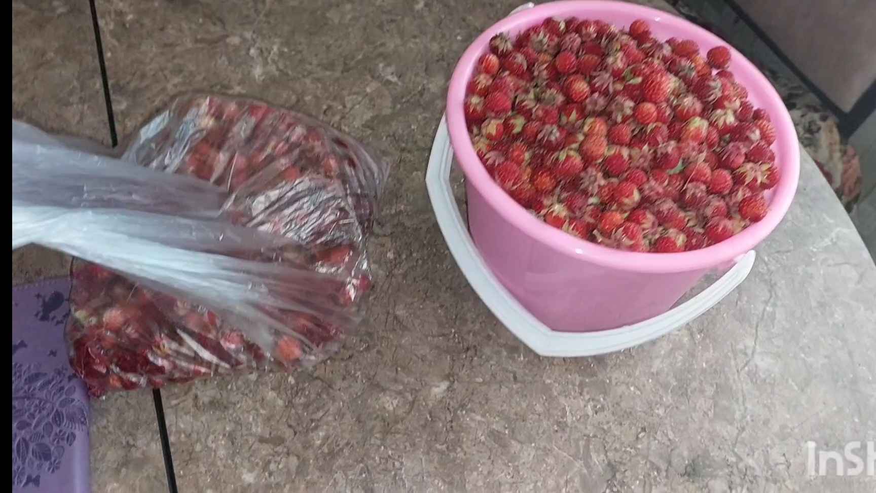 Запасаемся ягодами смотреть онлайн