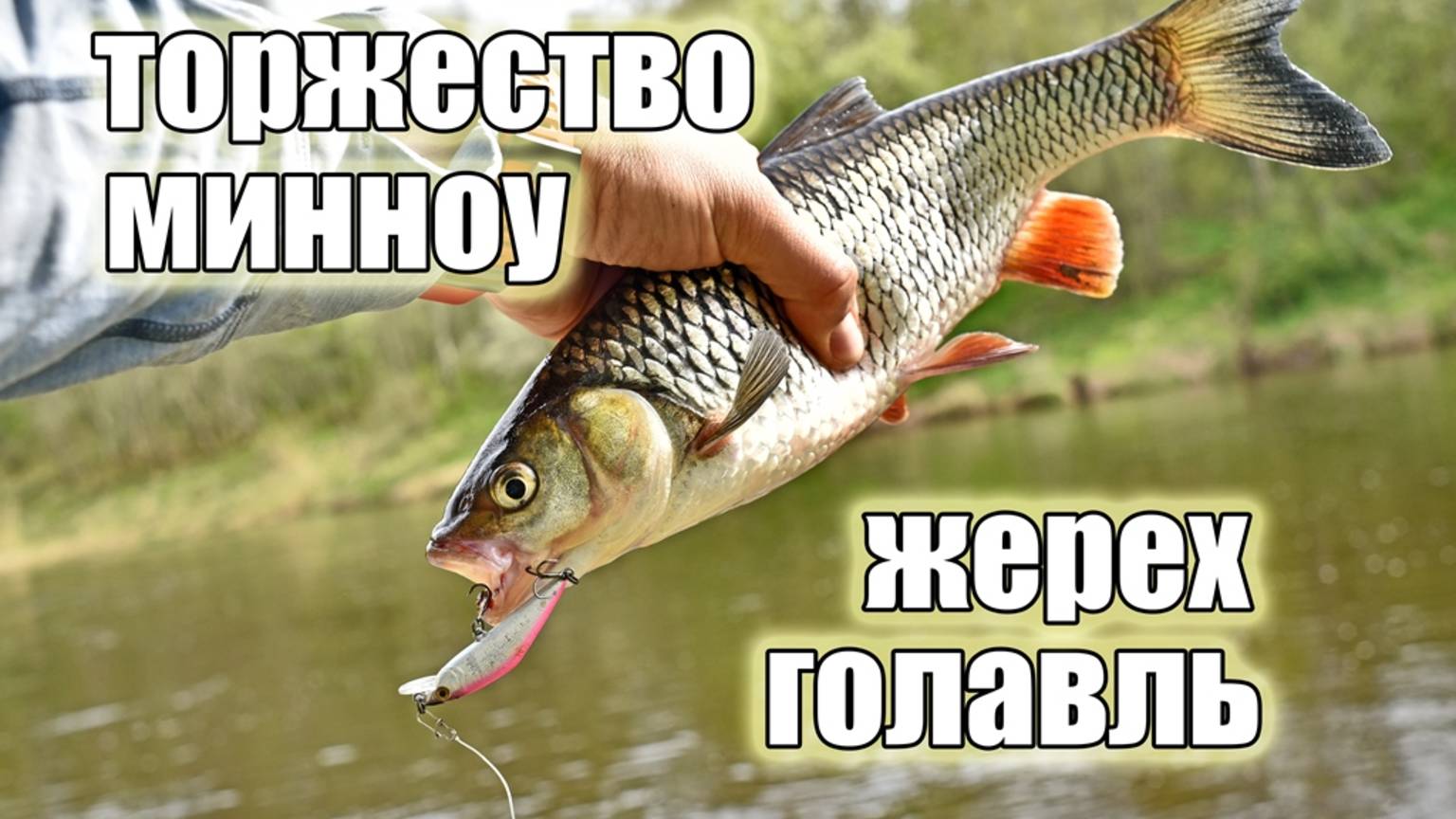 Торжество «миношек» на средней реке