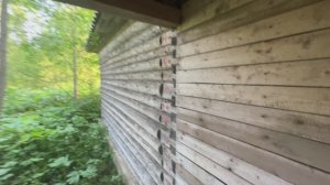 Деревня Шуйга, улица Новоселов 2