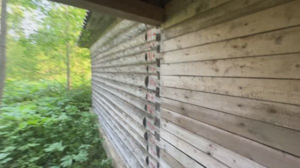 Деревня Шуйга, улица Новоселов 2