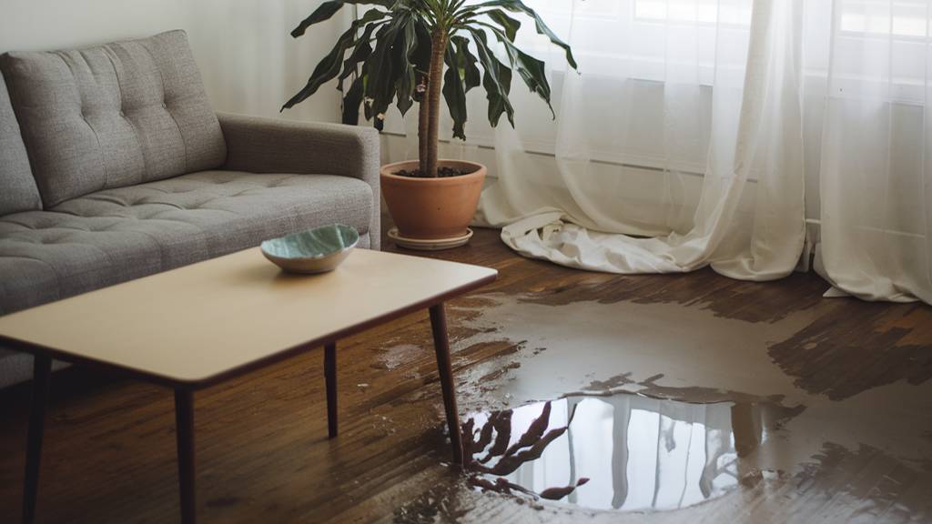 Защита от протечек воды своими руками смотреть онлайн