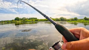 НЕ ПРОПУСТИ! ТАКОЙ ЖОР БЫВАЕТ ТОЛЬКО ПАРУ ДНЕЙ В ГОДУ! Рыбалка на спиннинг в 2025