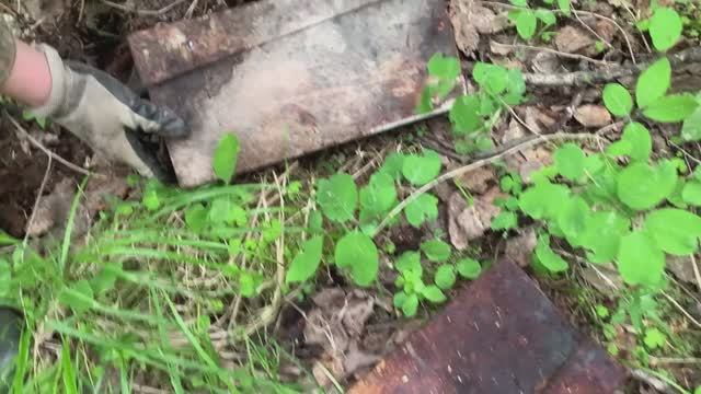 НАШЛИ КОРОБА MG!