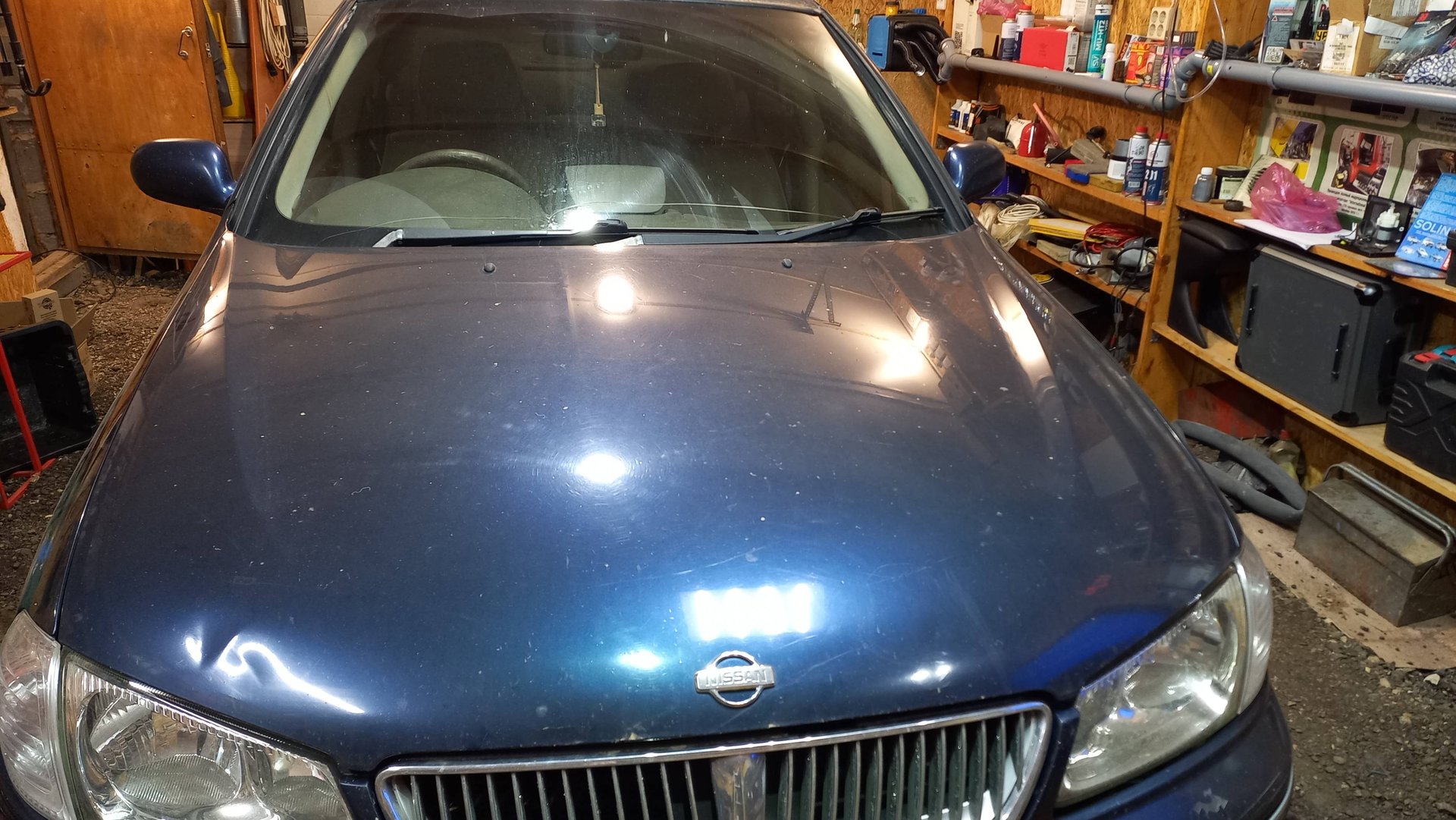 Nissan Bluebird приехал проверить ГРМ!