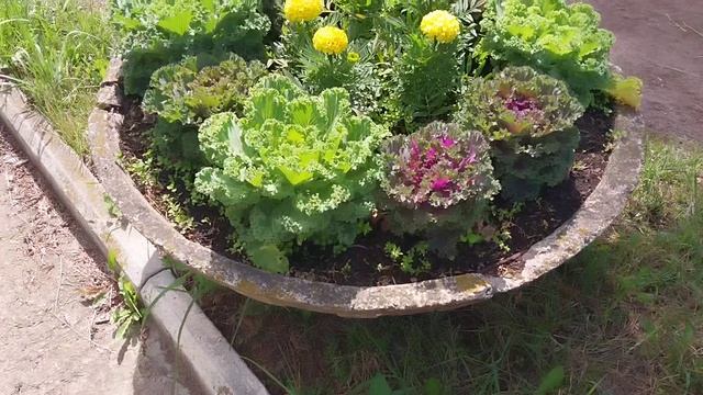 Погода шепчет, иди работай, а я кино снимаю😂 смотреть онлайн