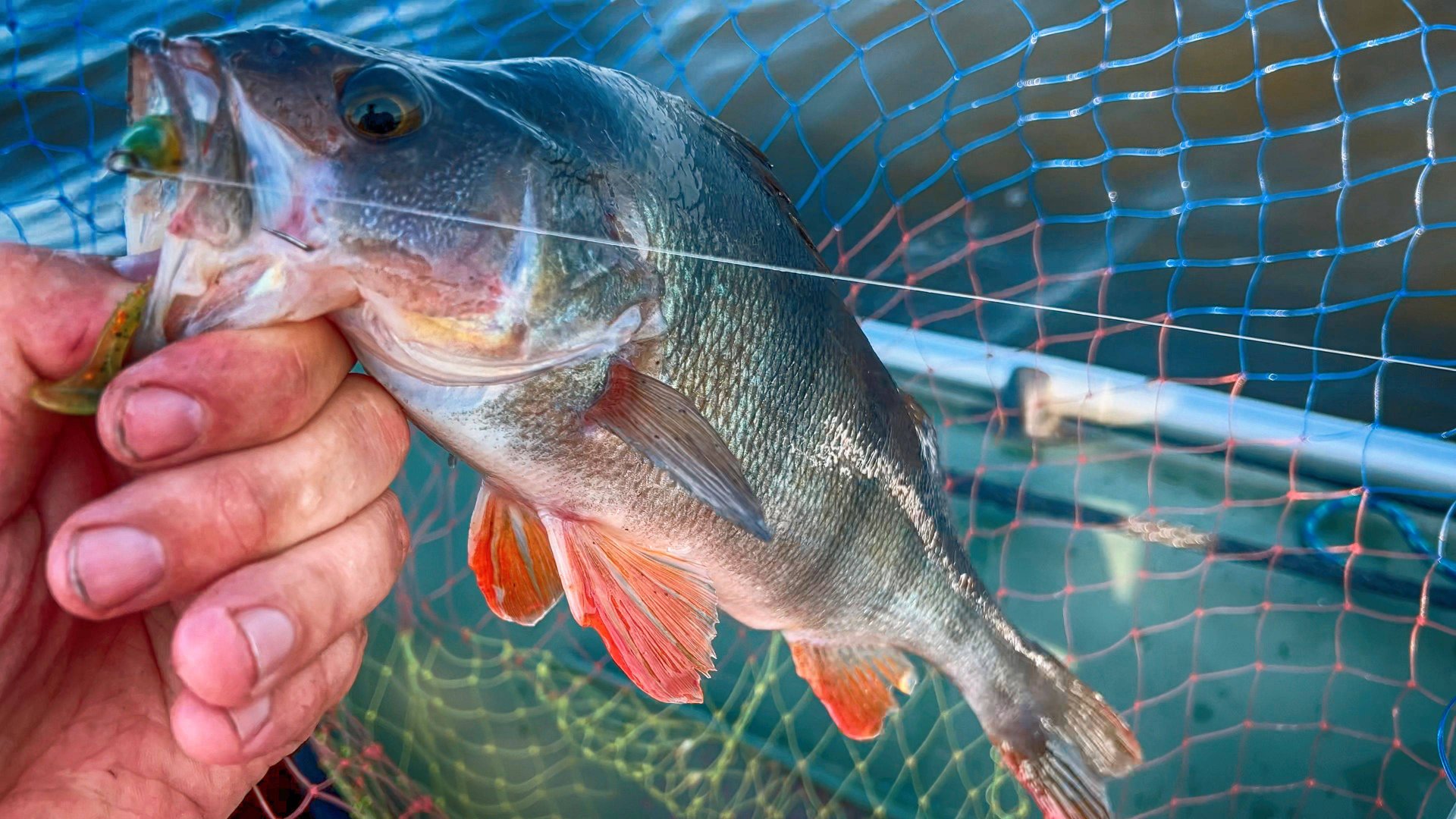 НА ЛОДКЕ ЗА ОКУНЕМ! Открытие лодочного сезона 2025! Ловля окуня на спиннинг.