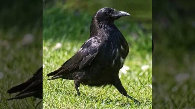 Это интересно-12