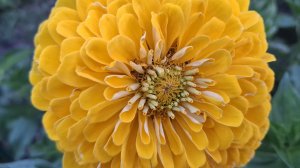 Красивая дорожка. Проводили Лену. Купили металл. Первая молоденькая картошечка.