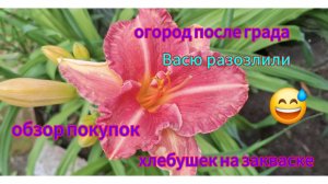 Переезд из Сибири на юг. Купили дом на юге. Наслаждаемся южной жизнью. 💖9серия