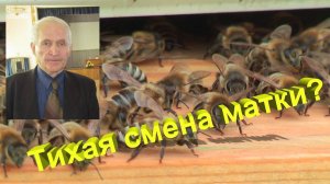 Как определить тихую смену матки? Советы от профессора Кашковского