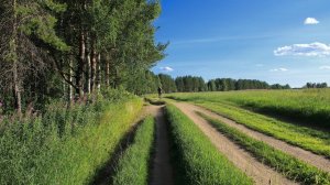 Город Ухта: Популярное место отдыха ухтинцев на природе. Июнь 2025г.