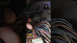 Распиновка проводов переключения поворотов и света с газель бизнес на ГАЗ 3302