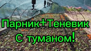 🌲🌿Бюджетный Парник+Теневик с поливом,туманом своими руками!🌿🌲