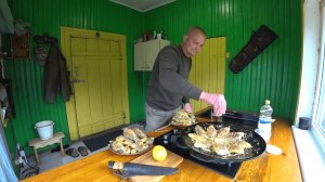 ВОРИШКА ПОПАЛСЯ на КАМЕРЫ ВИДЕОНАБЛЮДЕНИЯ. НОВАЯ ТЕХНИКА в СТАРЫЙ ДОМ в ЛЕСУ. №349