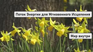 ЧАСТОТА 1111 ГЦ | Божественный Поток Энергии для Мгновенного Исцеления и Пробуждения