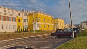 Три дня разлуки: Как коты встречают своих хозяев 🐾