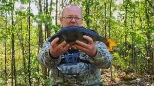 Рыбалка в Карелии. Две ночи в тайге. Рыбалка на двух озёрах. Трофейный окунь. Первые грибы.