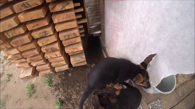 день 6 смотреть онлайн