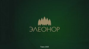 О проекте «Элеонор»