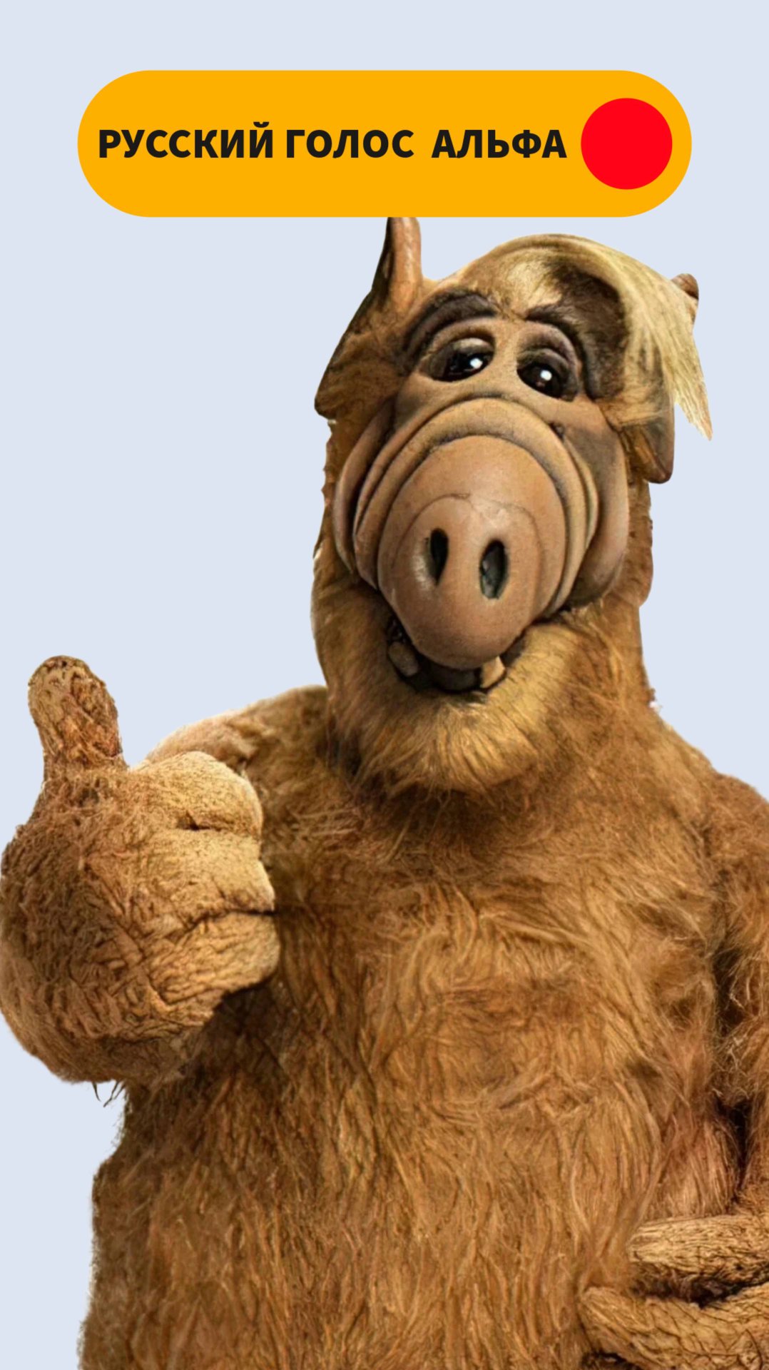 КТО ОЗВУЧИВАЕТ АЛЬФА НА РУССКОМ? АЛЕКСАНДР КЛЮКВИН смотреть онлайн