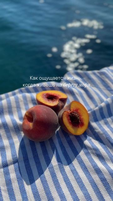 Жизнь у моря — это когда вы просыпаетесь не от будильника, а от лучей солнца за окном.