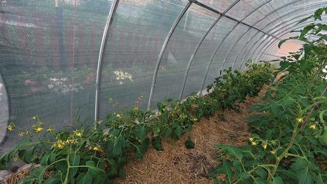 Денег всего полмешка осталось смотреть онлайн