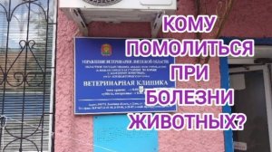 Кому помолиться при болезни животных