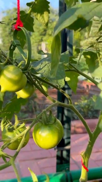 Мы получили замечательный отзыв! смотреть онлайн