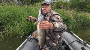 Щука любит эту приманку. Выручает и не раз. Рыбалка с ночёвкой.