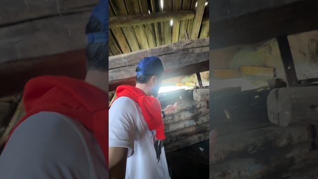 А вы были внутри мельницы? смотреть онлайн