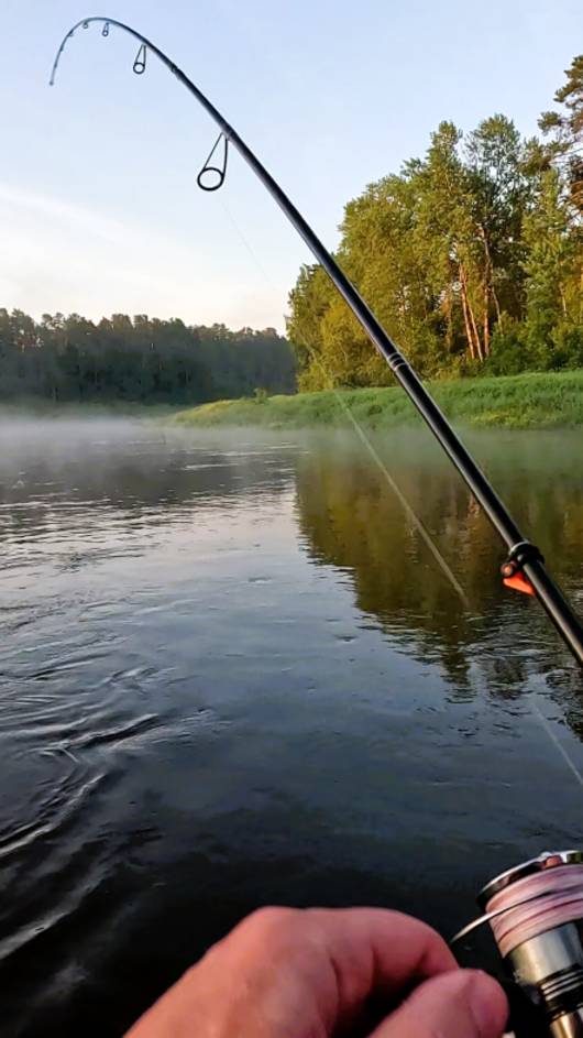 ТРОФЕЙНЫЙ ГОЛАВЛЬ #рыбалка смотреть онлайн