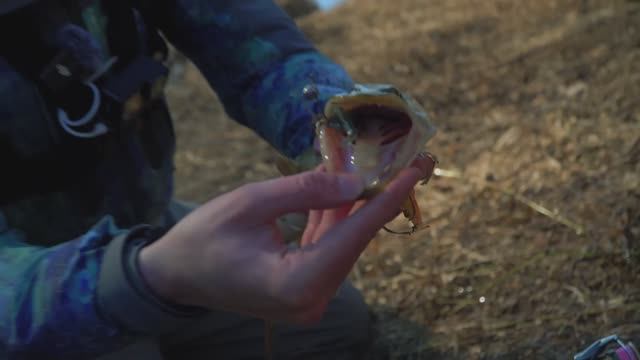 "МИР РЫБОЛОВА" смотреть онлайн