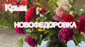 Новофедоровка 2025. Крым. Велопрогулка. #крым #новофедоровка