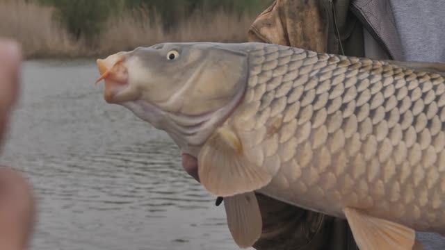 "НАРОДНЫЙ ПРОЕКТ АСТРАХАНЬ" смотреть онлайн