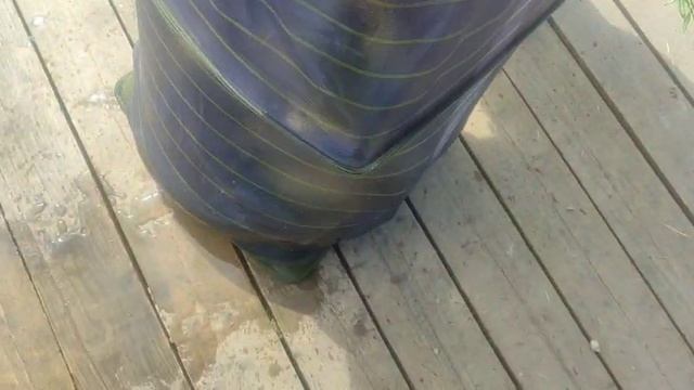 WhatsApp Video 2025-06-25 at 11.27.41 смотреть онлайн