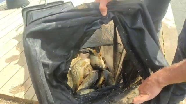 WhatsApp Video 2025-06-25 at 12.20.04 смотреть онлайн