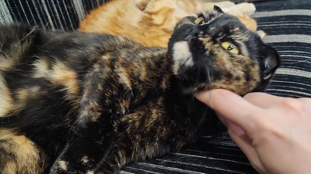 мама с дочей смотреть онлайн