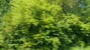 НИЧЕГО НЕТ КРАШЕ, ЧЕМ РОССИЯ НАША