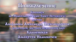 Выступление Крашенюк Альберта Ивановича на Православном радио Санкт Петербурга 2025 год.