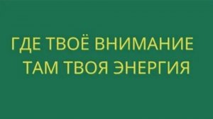 Просветление : Где твоё внимание - там твоя энергия ! ✅ Зачитал Никошо